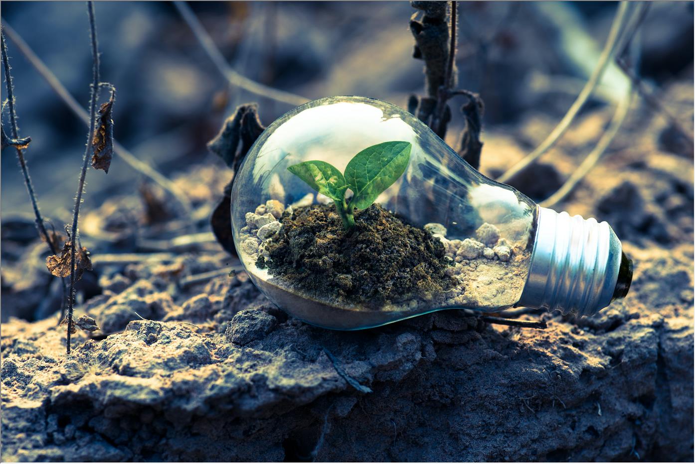 建筑項目的最新趨勢是什么？